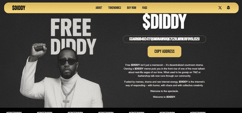 $DIDDY TokenLaunch project image