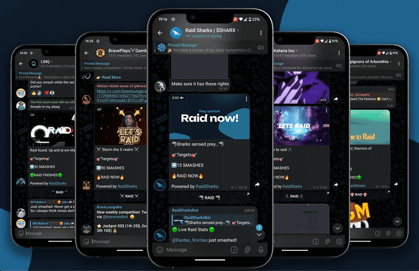 Twitter RaidBot project image